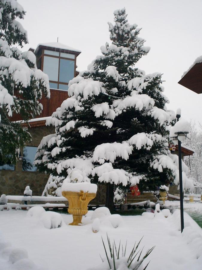 Хотел Галина Палас Srem ภายนอก รูปภาพ